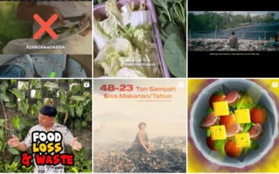 lomba Social Media Content Creator “Food Loss and Waste”